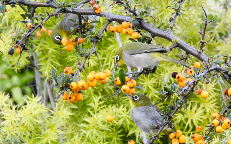 Environmental Perceptions South Africa 