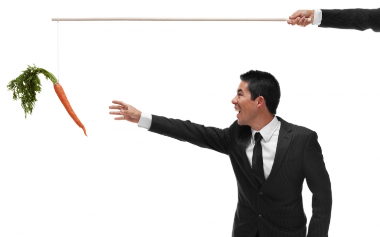 Stick or Carrot, ensuring your business's online security