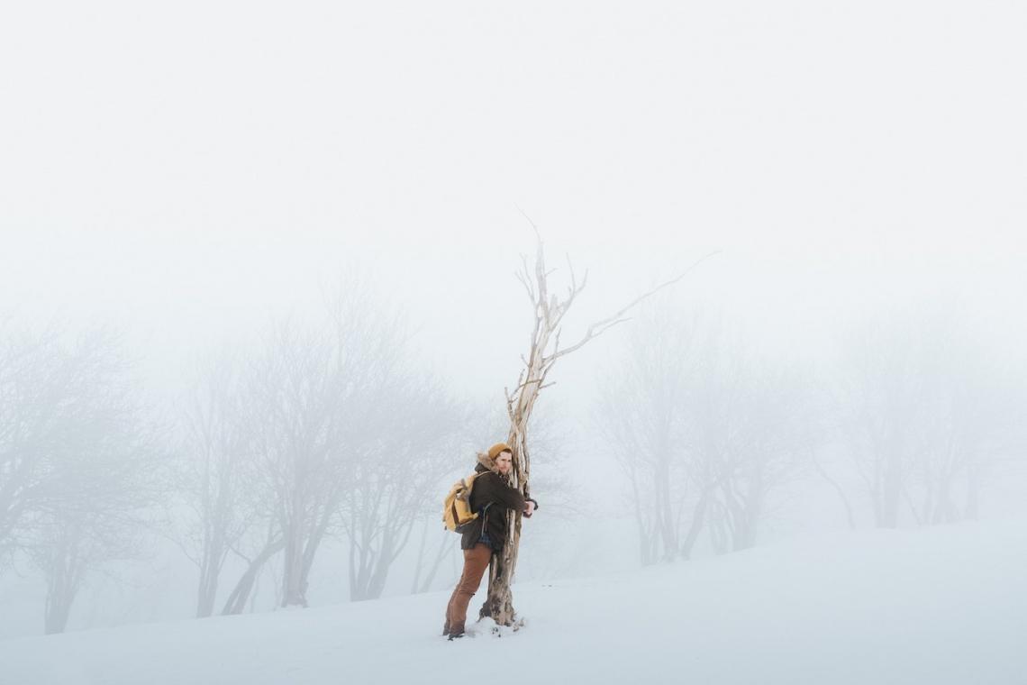 What are the differences between conservation and preservation?