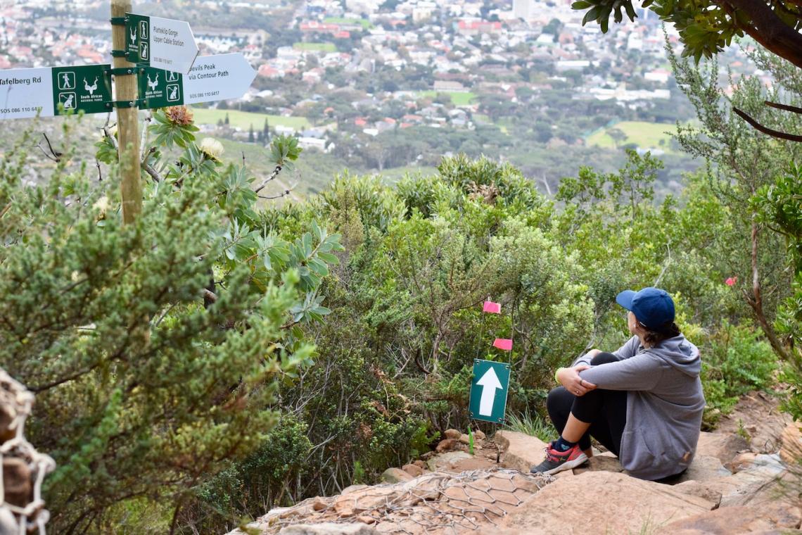 Table Mountain: What you need to know to take the cableway up and hike down