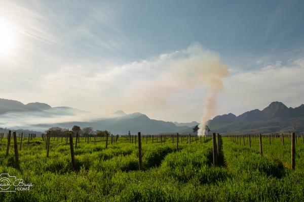 Small changes make a big difference