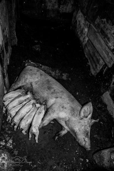 Balancing act between environment and social impact 