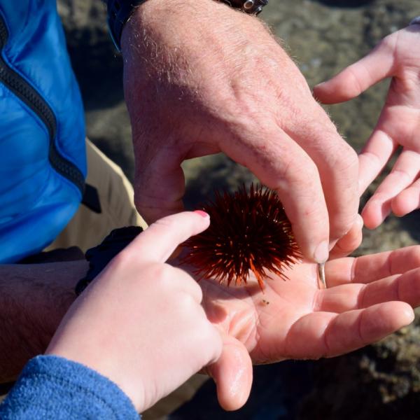 Inspiring the new generation