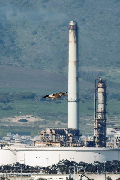 Limiting global environmental impact