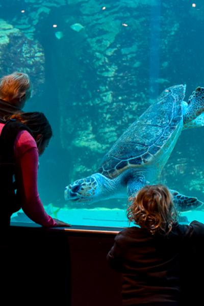 Inspiring the new generation